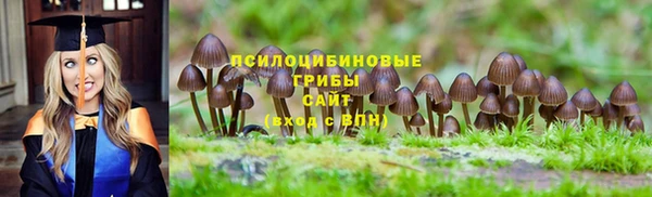 шишки Протвино