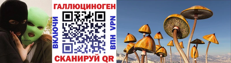 наркошоп Светогорск Псилоцибиновые грибы Cubensis