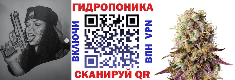 Каннабис OG Kush  магазин продажи наркотиков  ссылка на мегу как зайти  Светогорск 